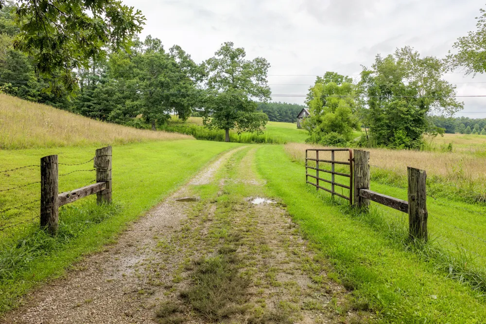 404 Luminary Firetower Road Spring City, TN 37381