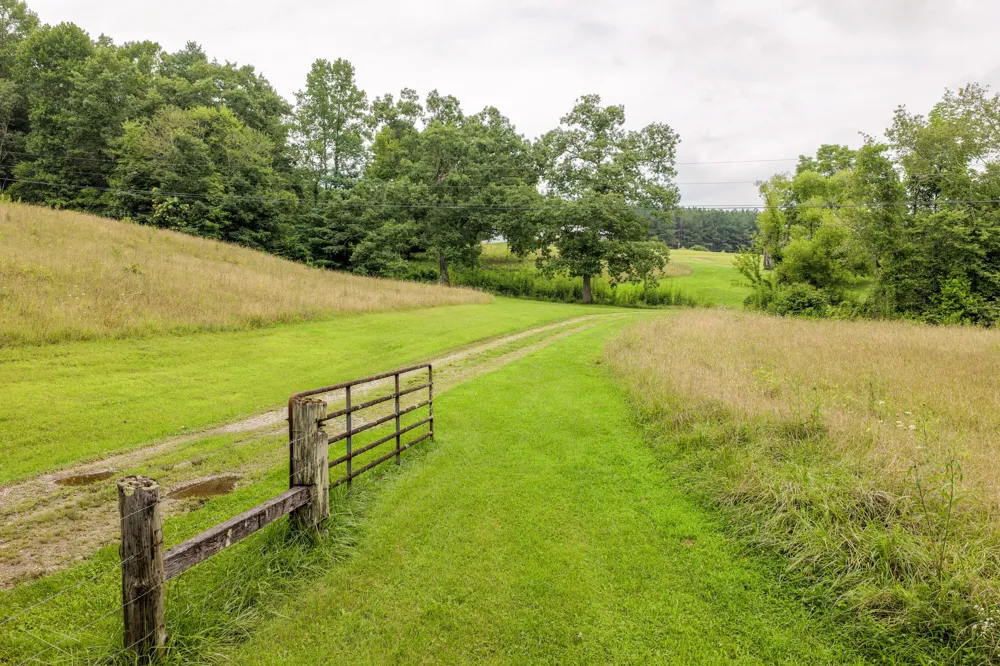 404 Luminary Firetower Road Spring City, TN 37381