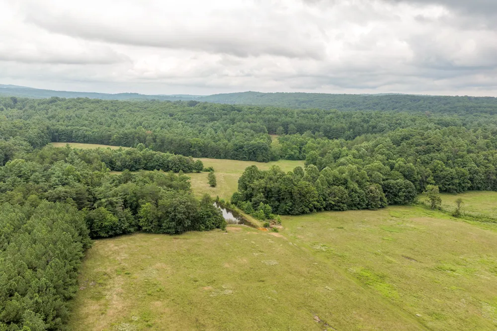 404 Luminary Firetower Road Spring City, TN 37381