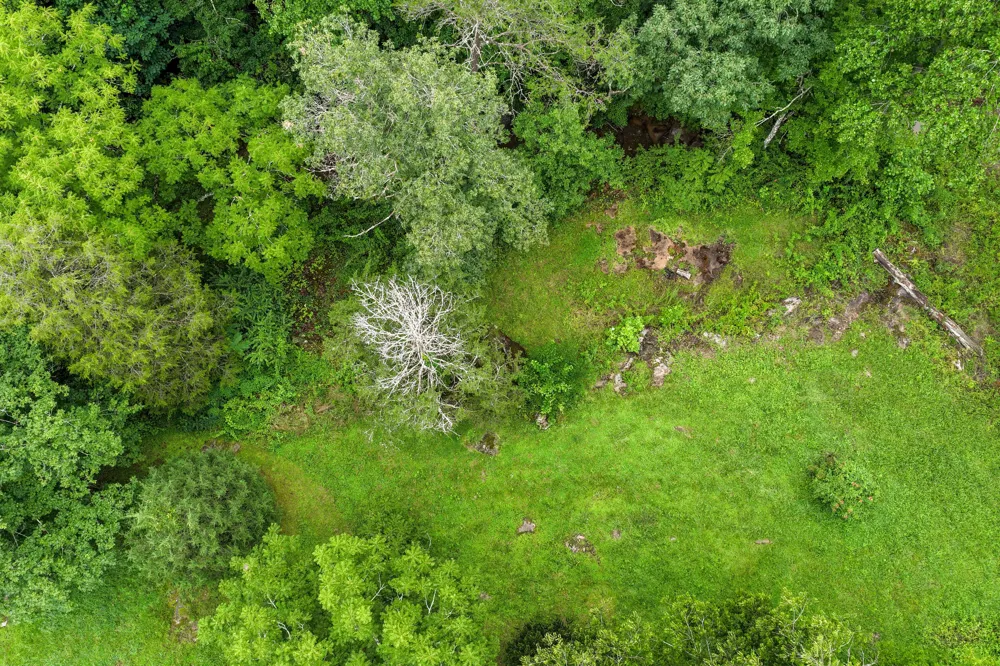 404 Luminary Firetower Road Spring City, TN 37381