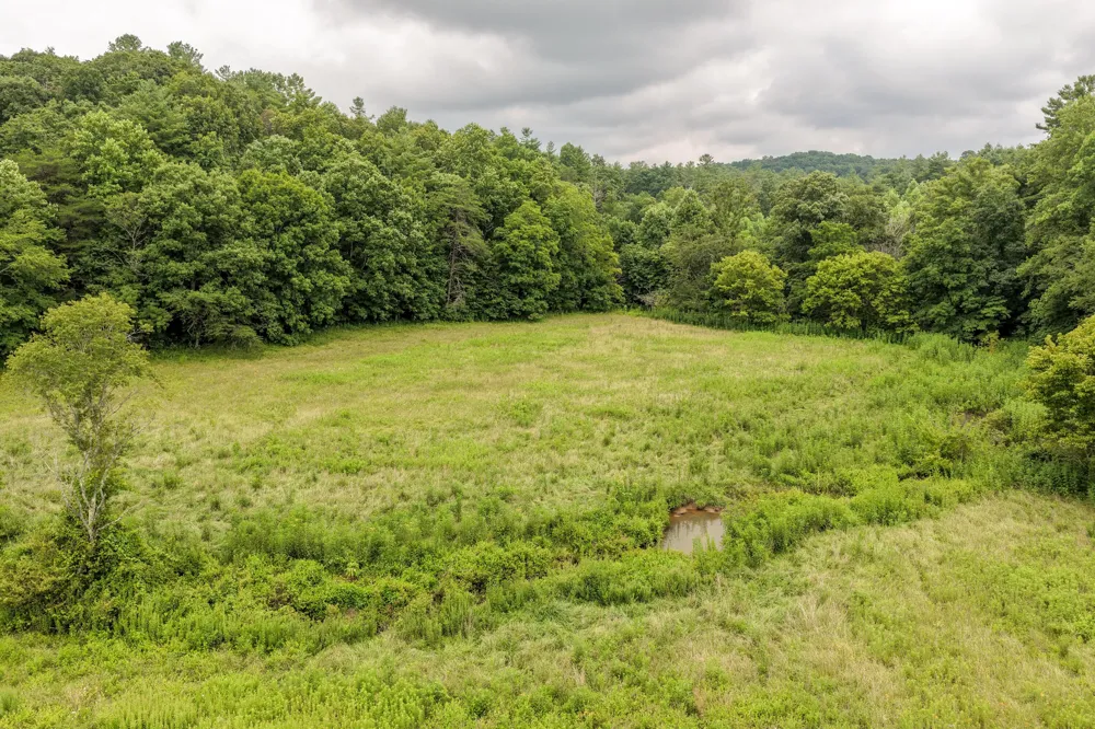 404 Luminary Firetower Road Spring City, TN 37381