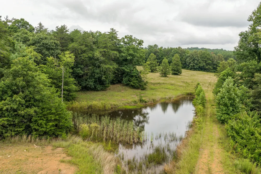 404 Luminary Firetower Road Spring City, TN 37381