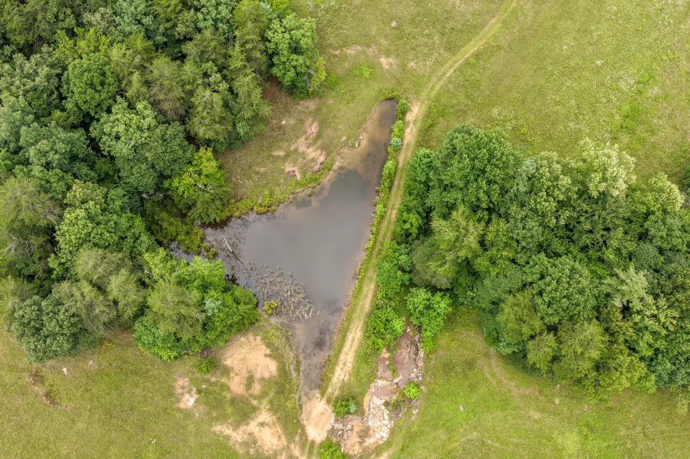404 Luminary Firetower Road Spring City, TN 37381