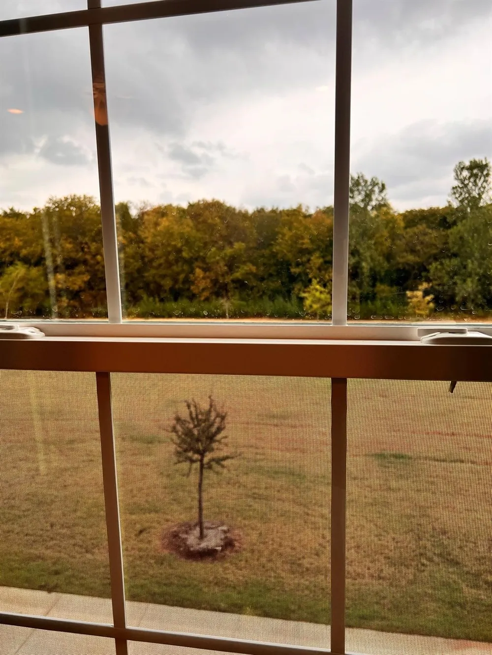 1054 Old Rosebud Drive Allen, TX 75013