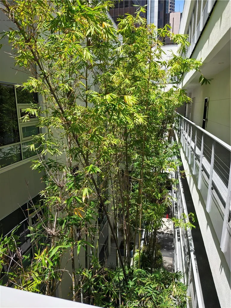 630 W 6th Street #506 Los Angeles, CA 90017