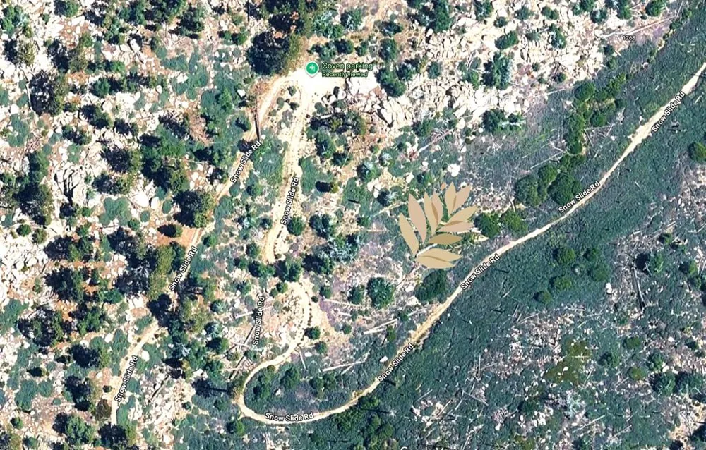 Rim Of The World Drive Fawnskin, CA 92333