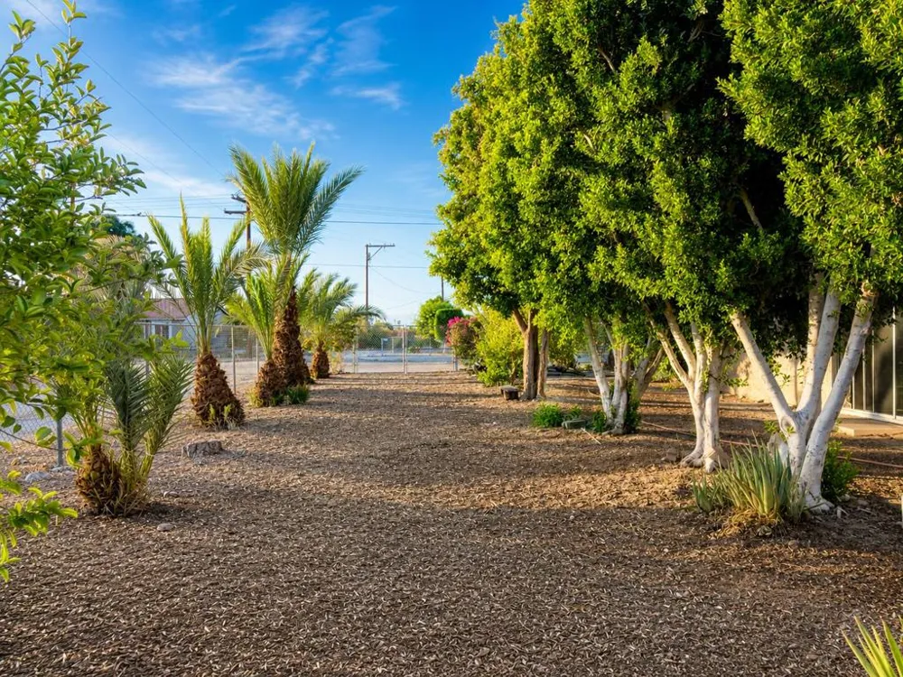 2799 Jester Avenue Thermal, CA 92274
