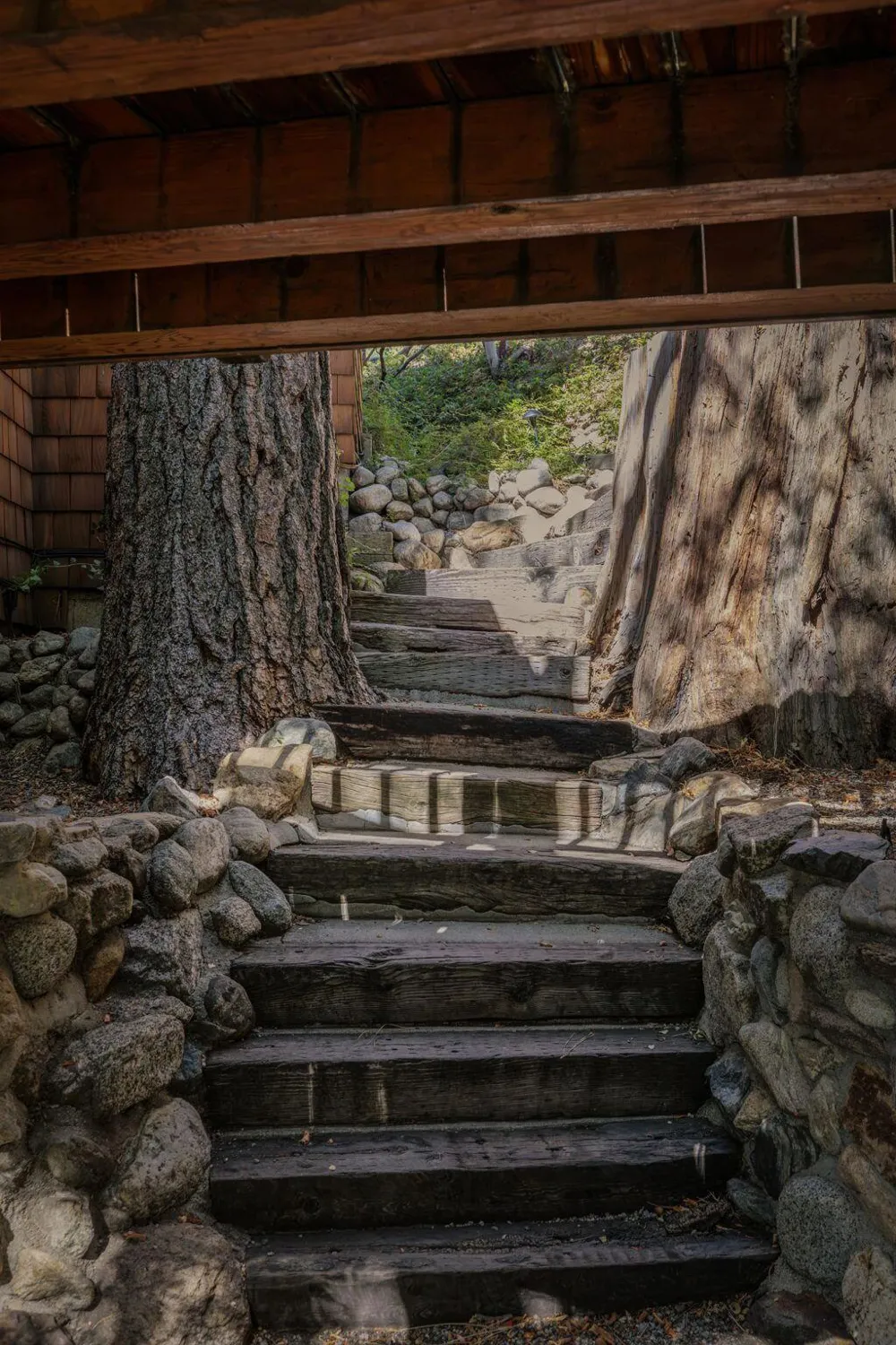 55100 Pine Crest Drive Idyllwild, CA 92549
