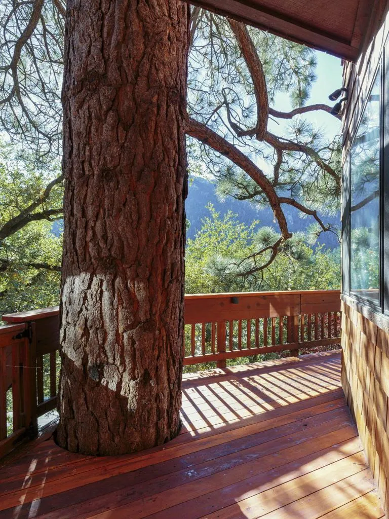 55100 Pine Crest Drive Idyllwild, CA 92549