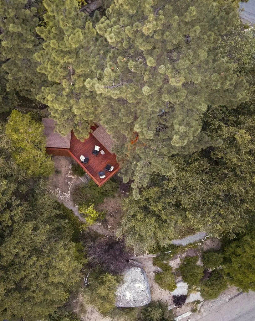 55100 Pine Crest Drive Idyllwild, CA 92549