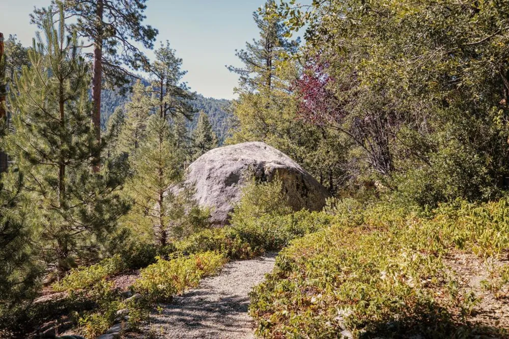 55100 Pine Crest Drive Idyllwild, CA 92549