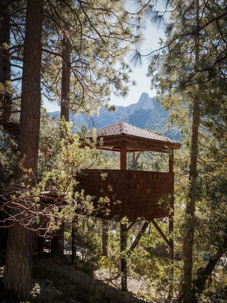 55100 Pine Crest Drive Idyllwild, CA 92549