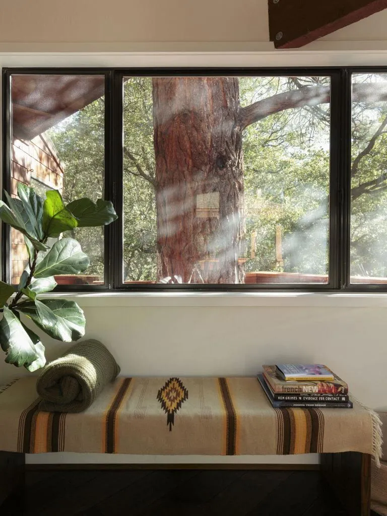 55100 Pine Crest Drive Idyllwild, CA 92549