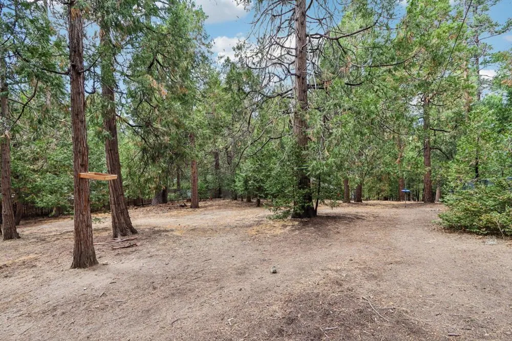 54820 Fern Drive Idyllwild, CA 92549