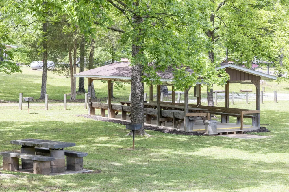 144 Caron Drive Spring City, TN 37381