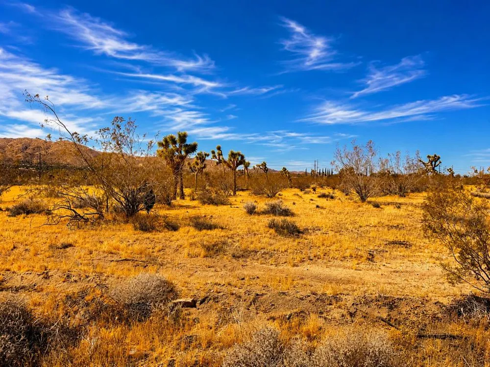 Rockwood Road Joshua Tree, CA 92252