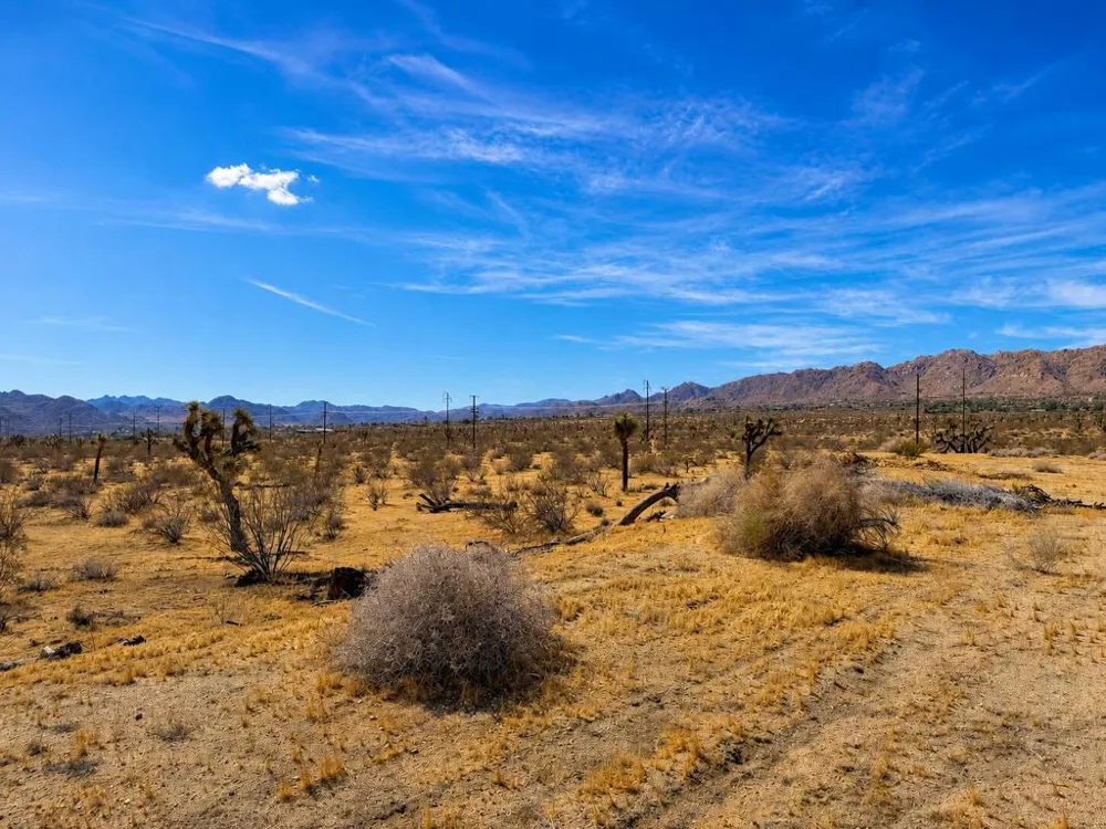 Rockwood Road Joshua Tree, CA 92252