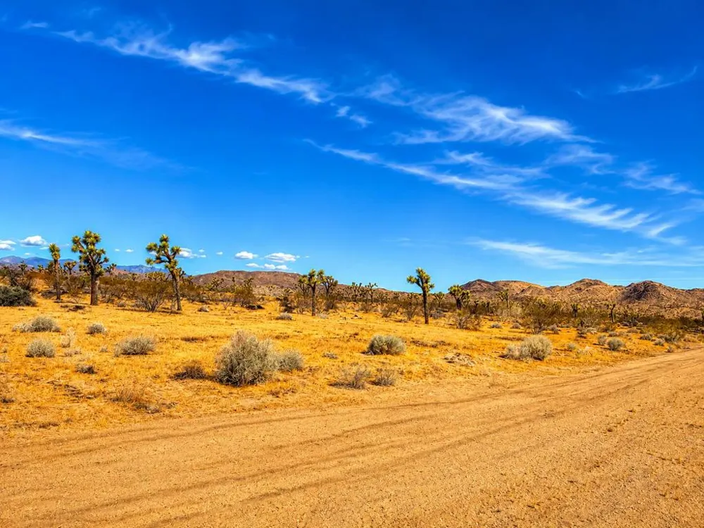 Rockwood Road Joshua Tree, CA 92252