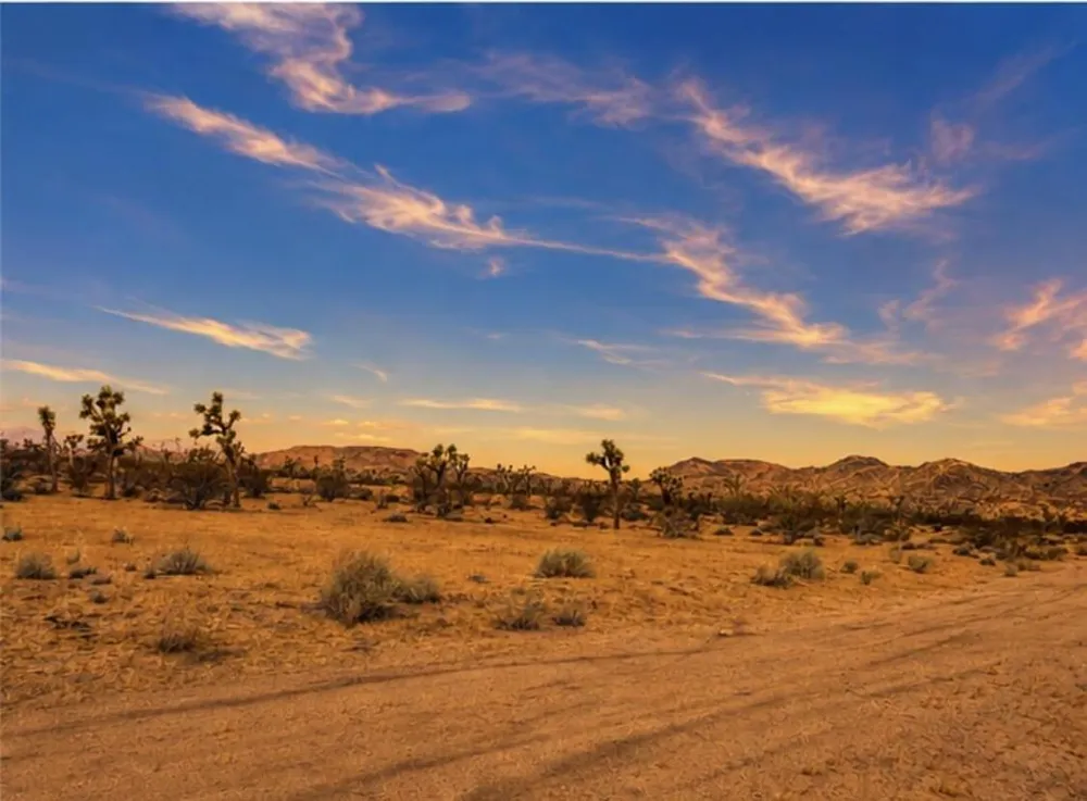 Rockwood Road Joshua Tree, CA 92252