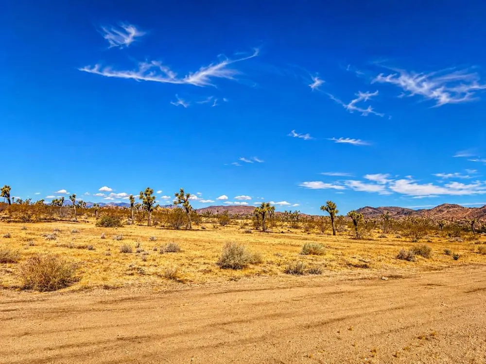Rockwood Road Joshua Tree, CA 92252