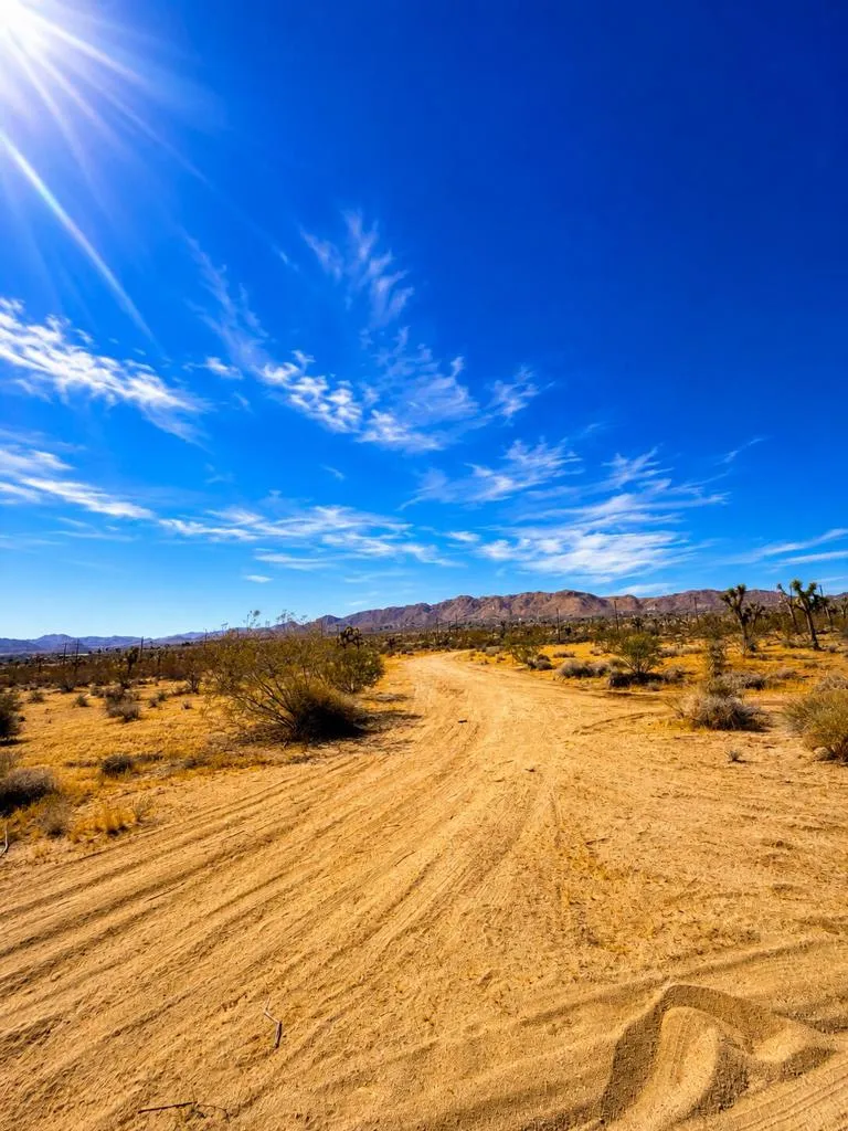 Rockwood Road Joshua Tree, CA 92252