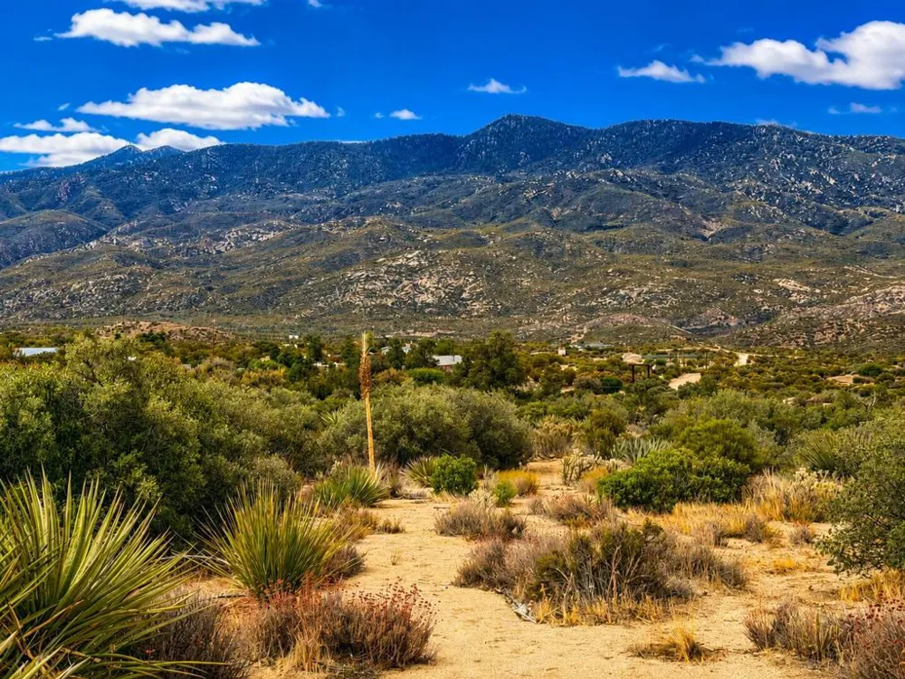 214 Chalet Drive Mountain Center, CA 92561