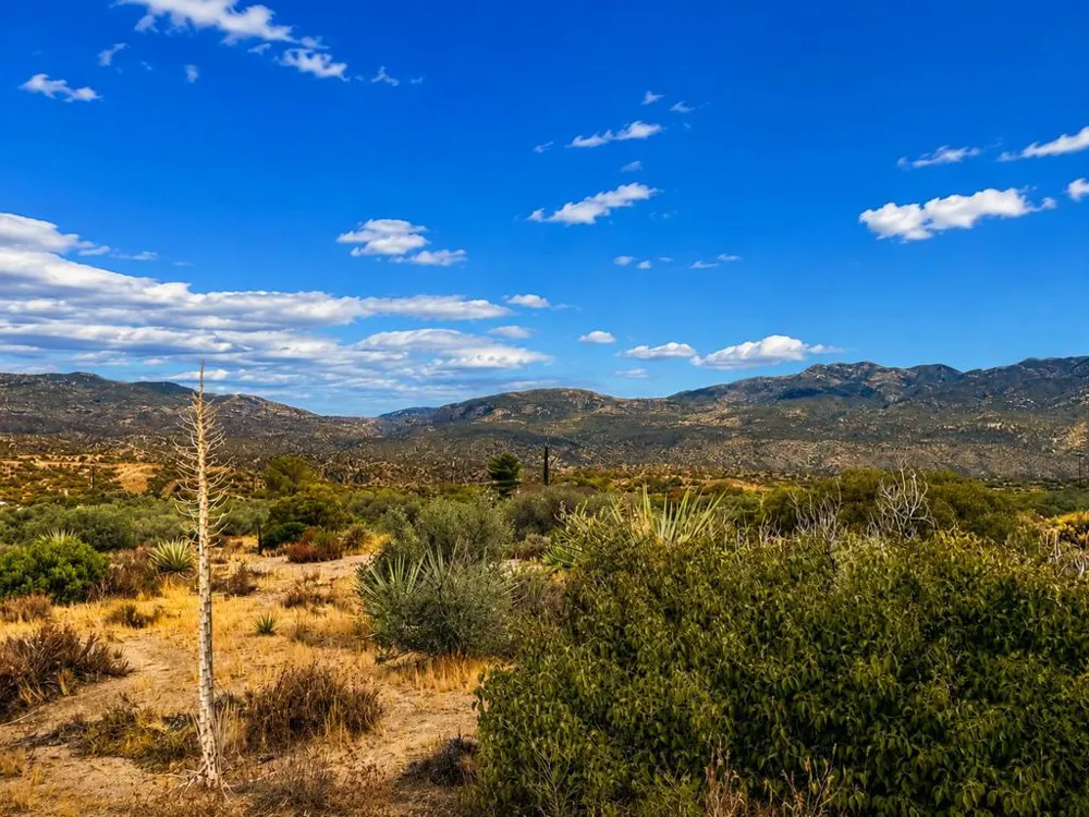 214 Chalet Drive Mountain Center, CA 92561