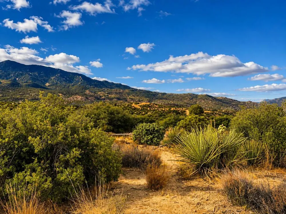 214 Chalet Drive Mountain Center, CA 92561