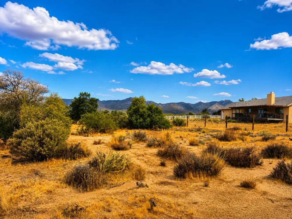529 Saint Bernard Drive Mountain Center, CA 92561