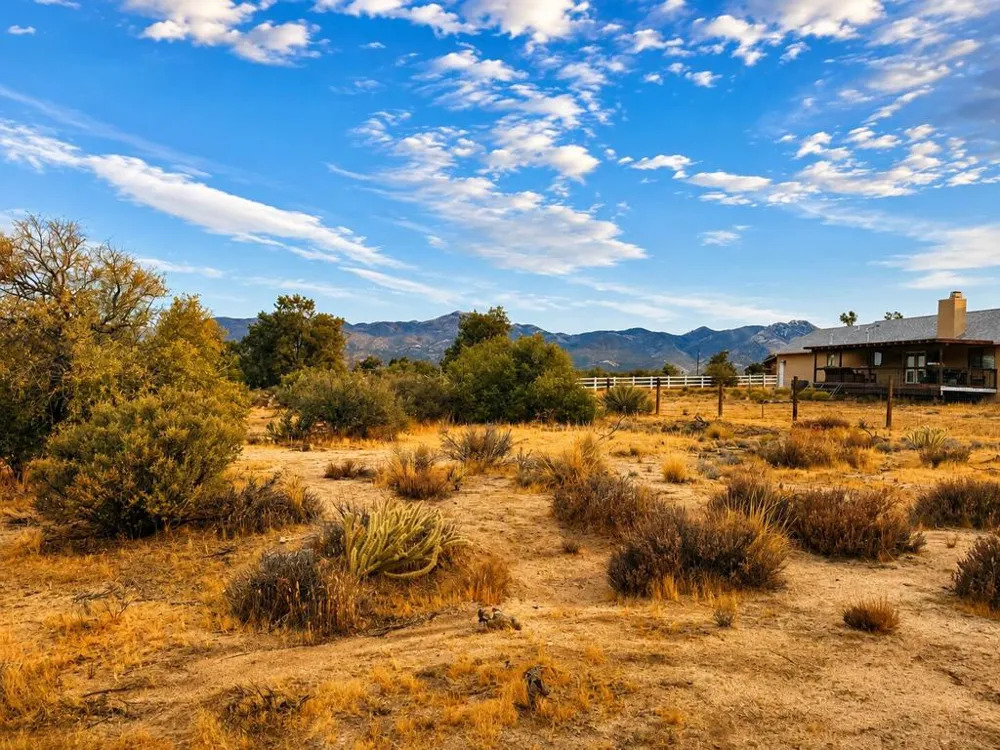 529 Saint Bernard Drive Mountain Center, CA 92561
