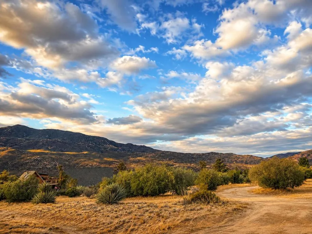 529 Saint Bernard Drive Mountain Center, CA 92561