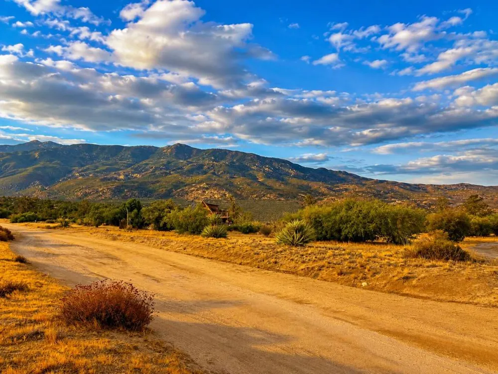 529 Saint Bernard Drive Mountain Center, CA 92561