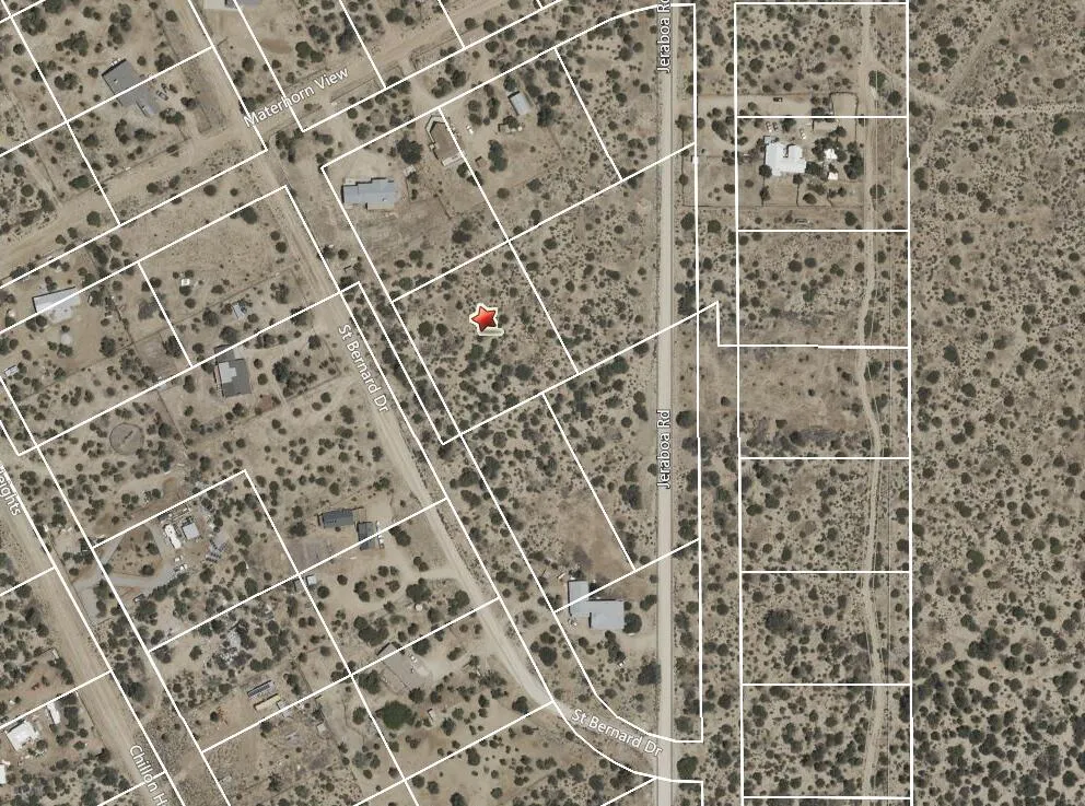 529 Saint Bernard Drive Mountain Center, CA 92561
