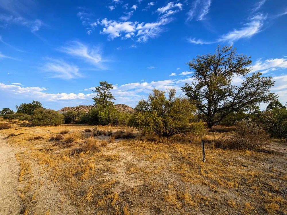 529 Saint Bernard Drive Mountain Center, CA 92561