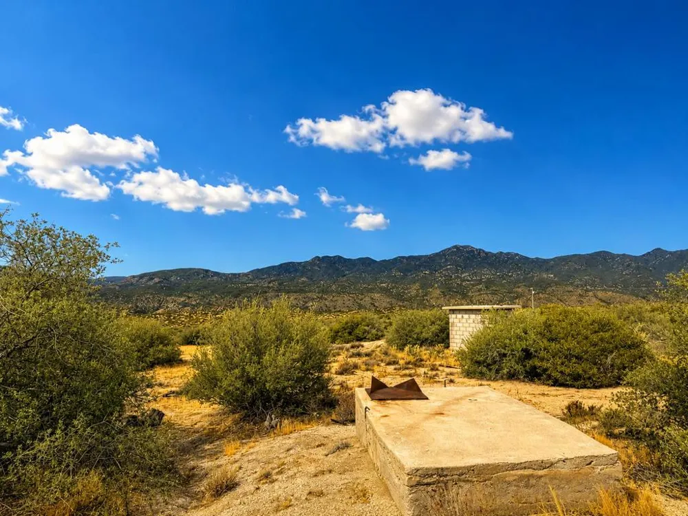 217 Chalet Drive Mountain Center, CA 92561