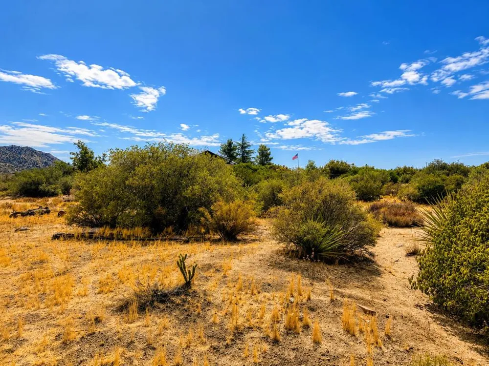 217 Chalet Drive Mountain Center, CA 92561
