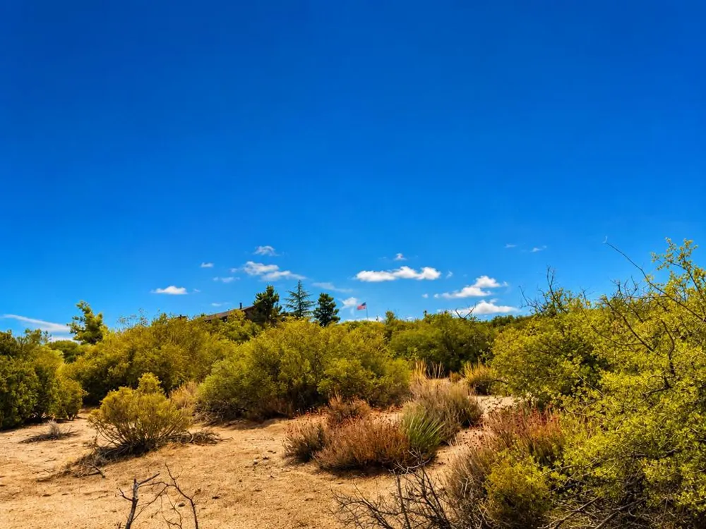 217 Chalet Drive Mountain Center, CA 92561