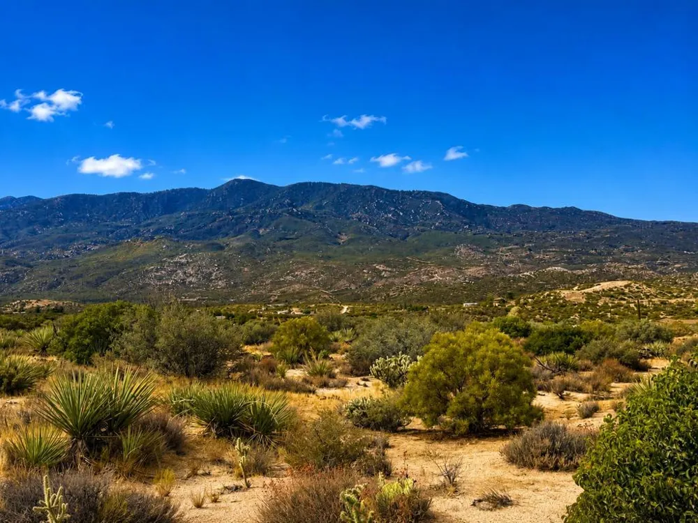 217 Chalet Drive Mountain Center, CA 92561