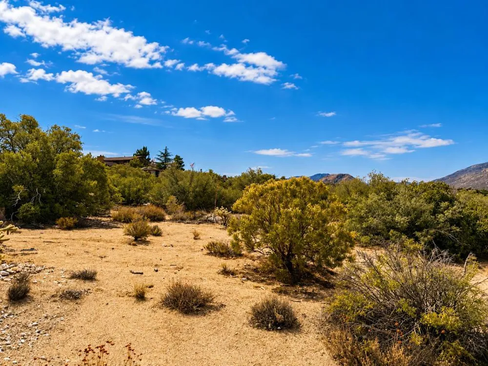 217 Chalet Drive Mountain Center, CA 92561