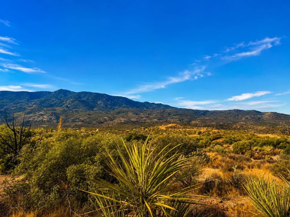 217 Chalet Drive Mountain Center, CA 92561