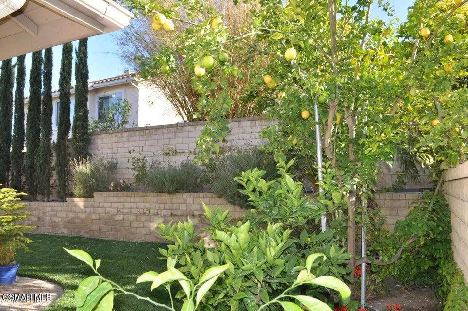1596 Blue Canyon Street Newbury Park, CA 91320