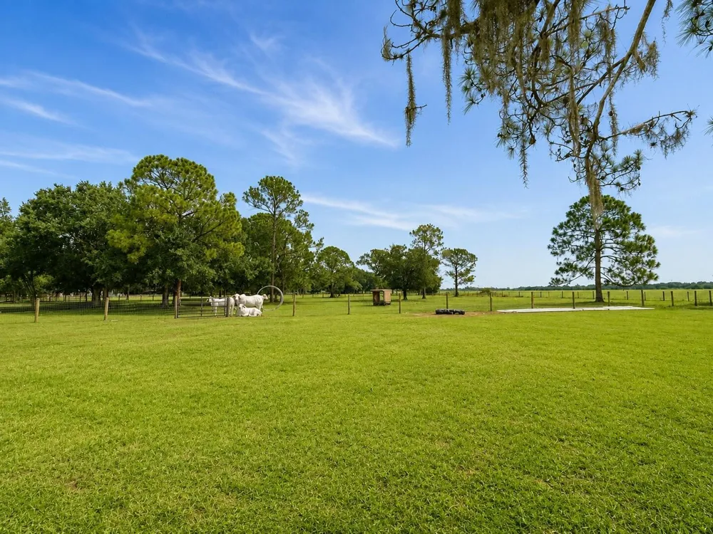 140 PARK LAND DRIVE Lake Placid, FL 33852