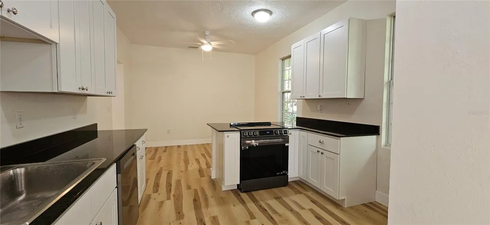 709 S HIGHLAND STREET Mount Dora, FL 32757