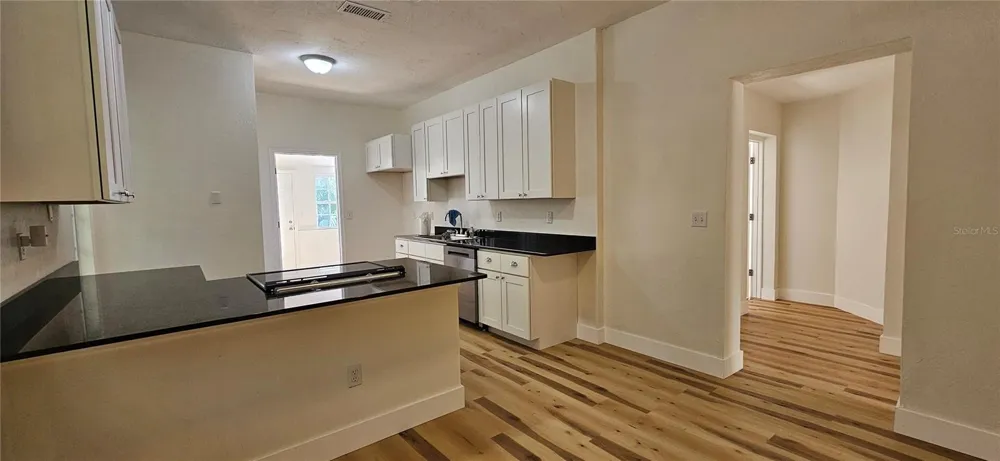 709 S HIGHLAND STREET Mount Dora, FL 32757