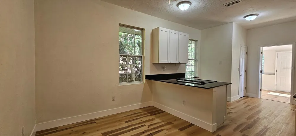 709 S HIGHLAND STREET Mount Dora, FL 32757