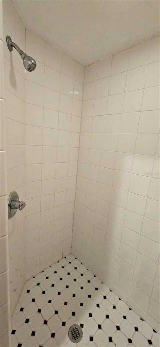 709 S HIGHLAND STREET Mount Dora, FL 32757
