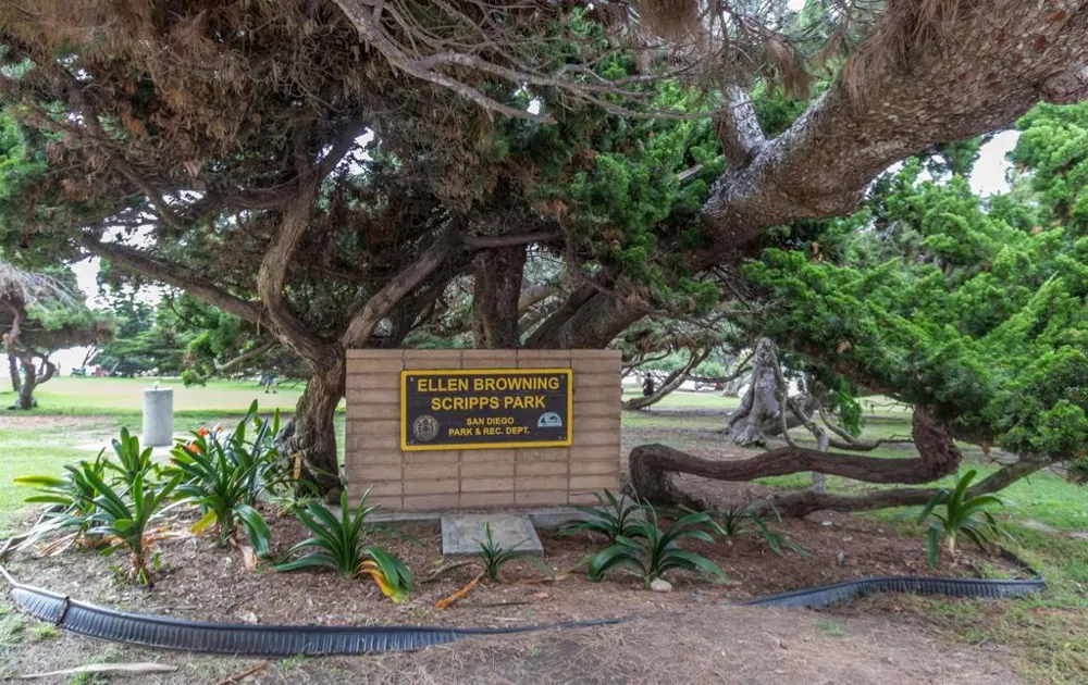 1039 Coast Blvd #E La Jolla, CA 92037