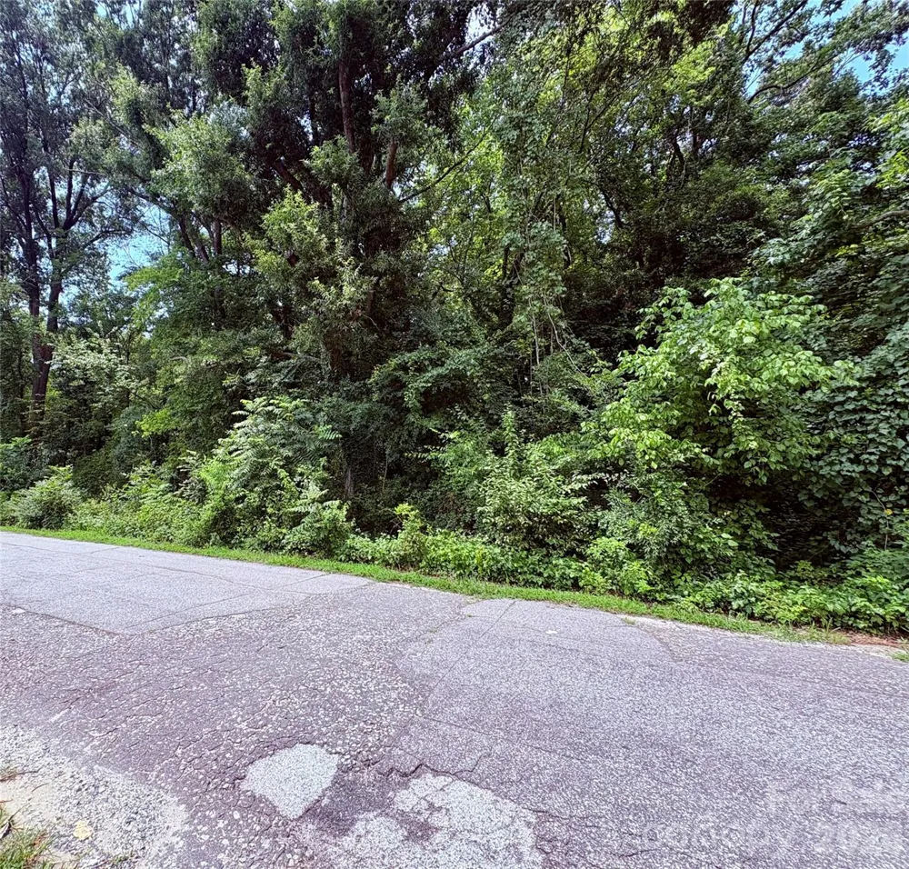 0 Royal Street East Spencer, NC 28144
