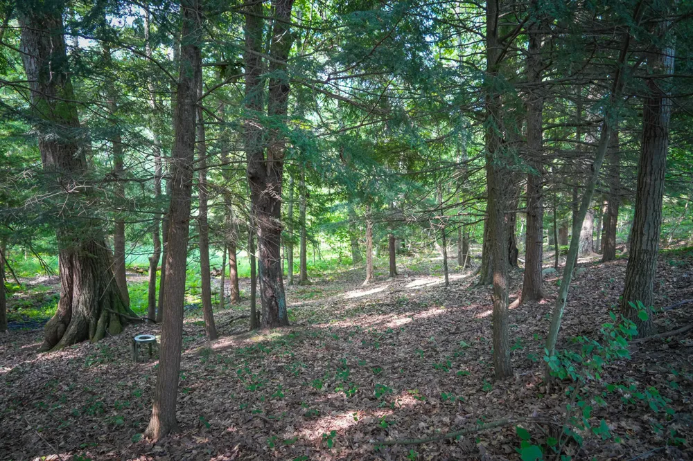 Apple Drive #Lot 38/2.36 A m/l White Cloud, MI 49349
