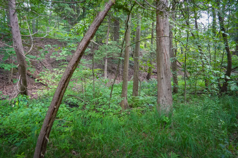 Apple Drive #Lot 38/2.36 A m/l White Cloud, MI 49349